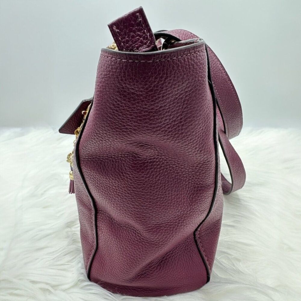 ⭐️⭐️SOLD⭐️⭐️ Coach Jes Pebbled Leather Tote/Shoulder Bag with Varsity Stripe - Picture 6 of 16